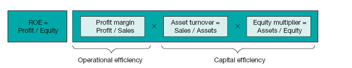 Return on equity = operational and capital efficiency