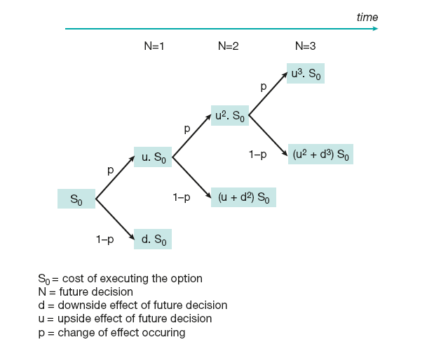 Real options theory